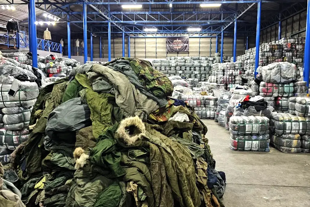 Professional team collaboration